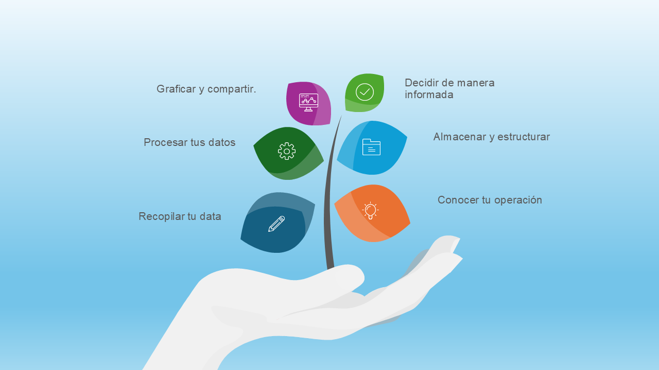 Metodología y etapas del proceso de analítica de datos en Oke Consulting